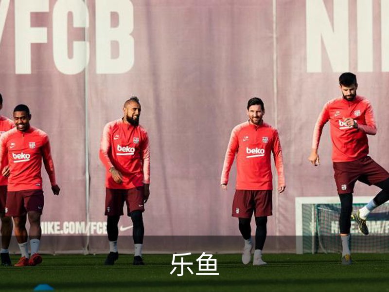 乐鱼简介